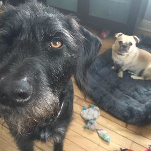 Meet your Posher, Jon